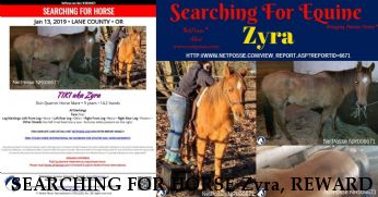 SEARCHING FOR HORSE Zyra, REWARD  - LOCATED/SAFE Near Junction City, OR, 97448